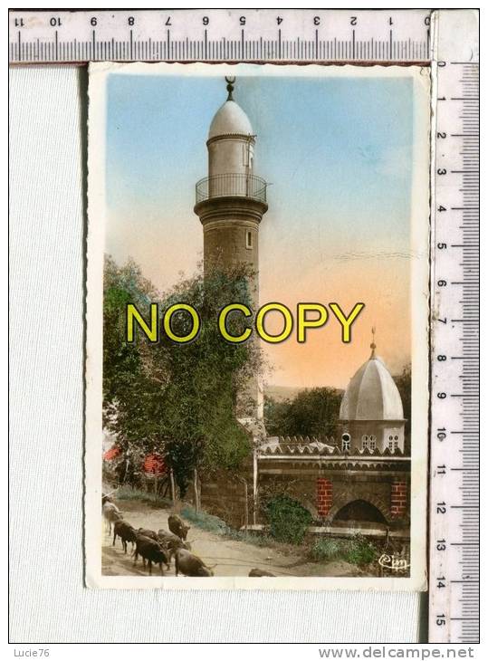 TIARET -  La Mosquée