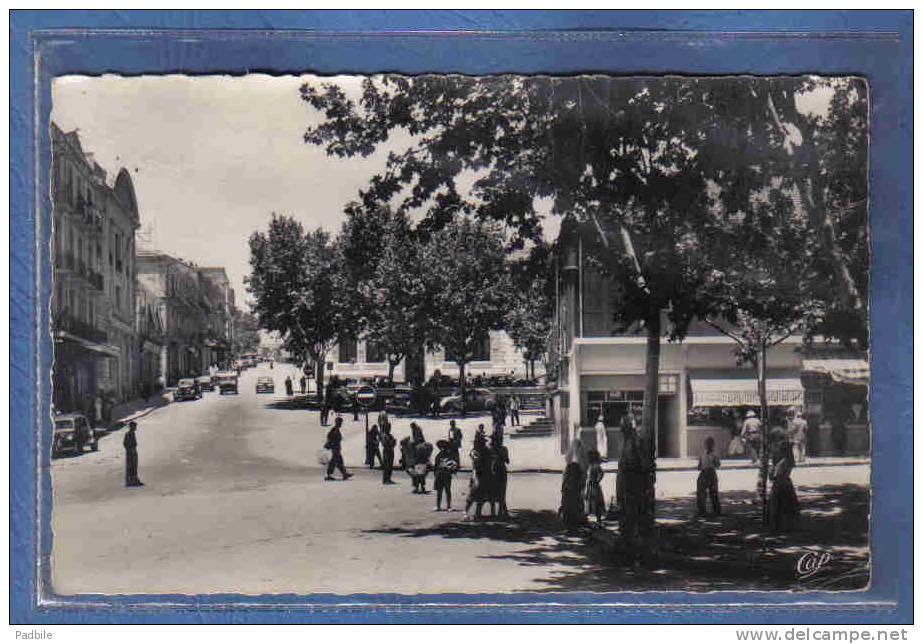 Carte Postale Afrique Algérie Tiaret  rue Cambon  animée trés beau plan