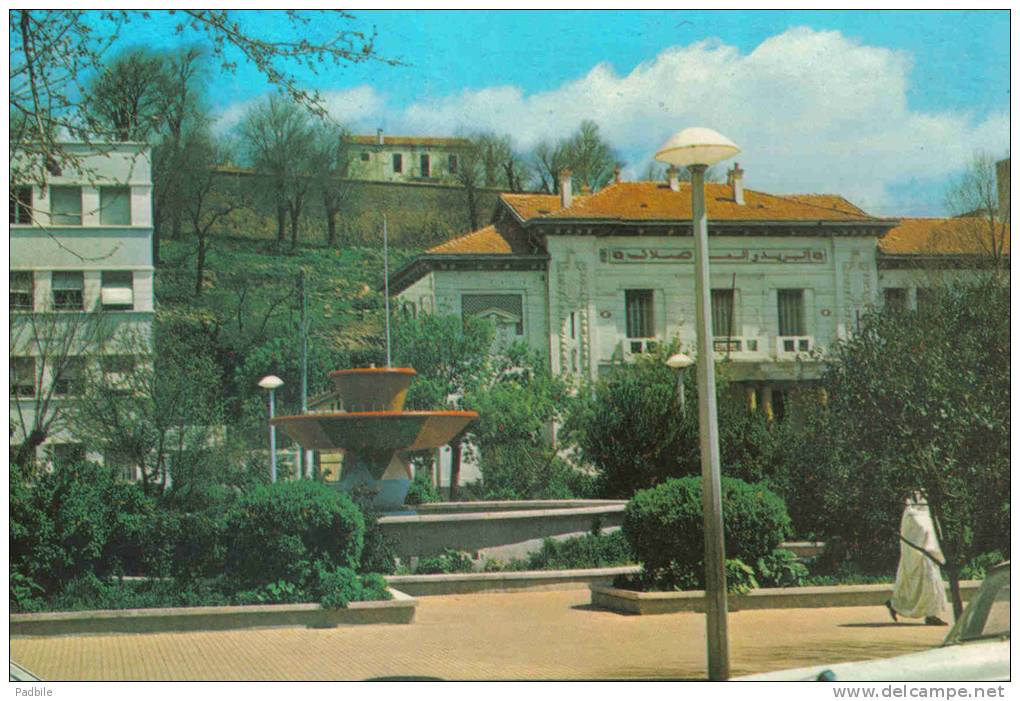 Carte Postale Afrique Algérie Tiaret  la Poste trés beau plan