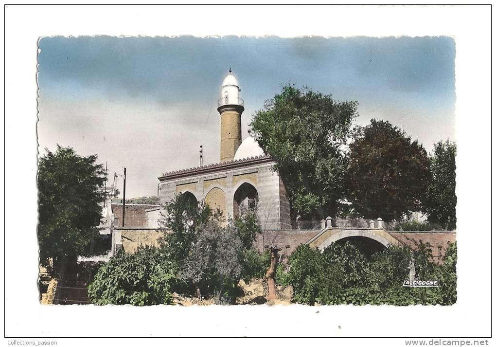 cp, Algérie, Tiaret, La Mosquée, voyagée 1954