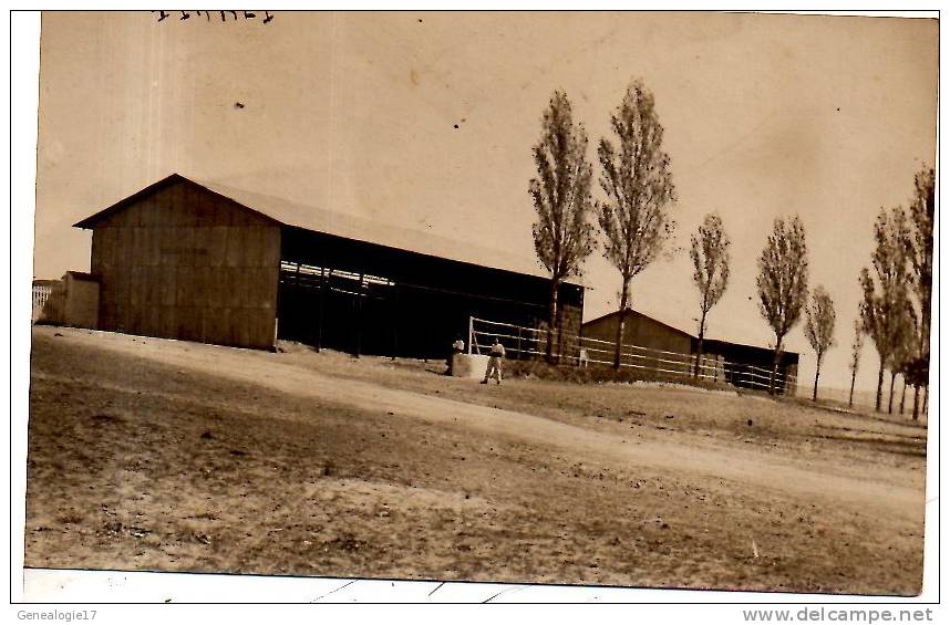 CPA 96 101 ALGERIE TIARAT signée MARCELLE CHEVET