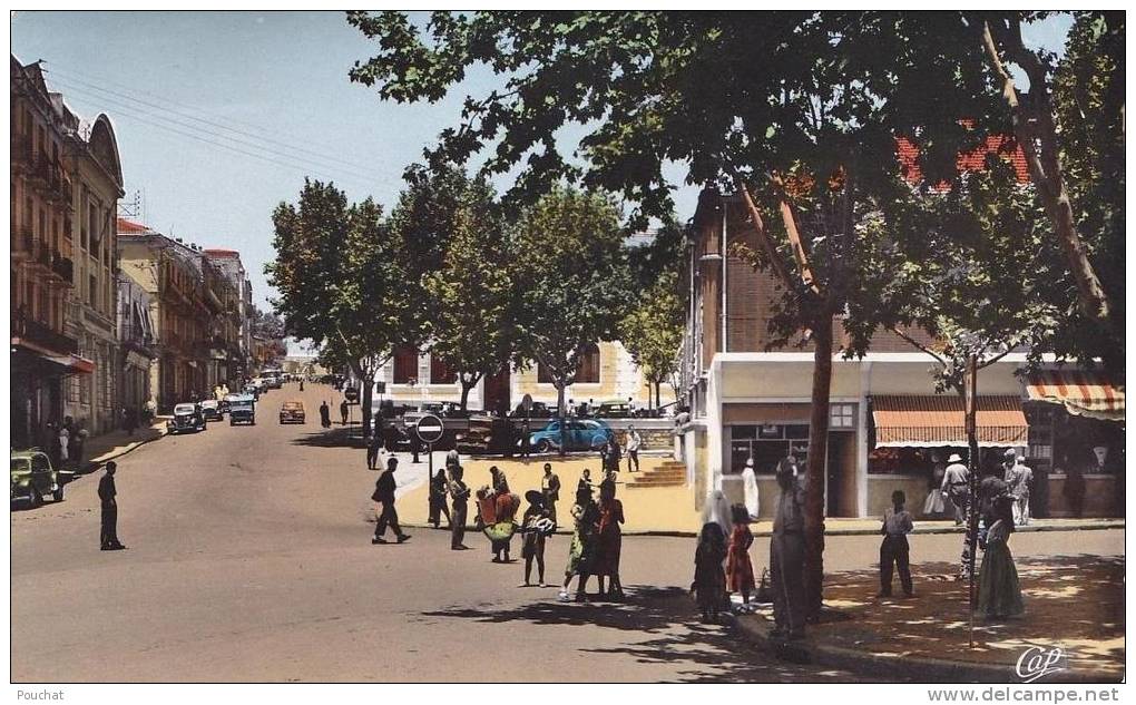 Tiaret..- (Algérie)  La  Rue Cambon  - (belle animation)