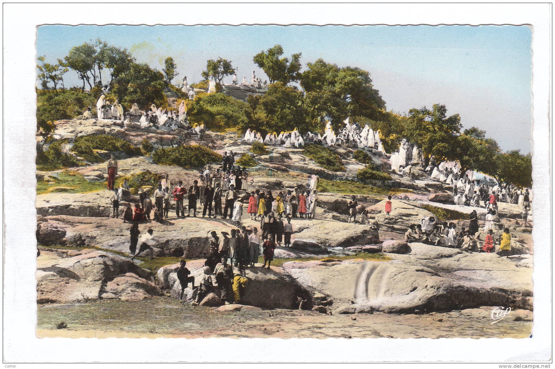 Tiaret       Le Marabout de Sidi-Khaled un jour de fête