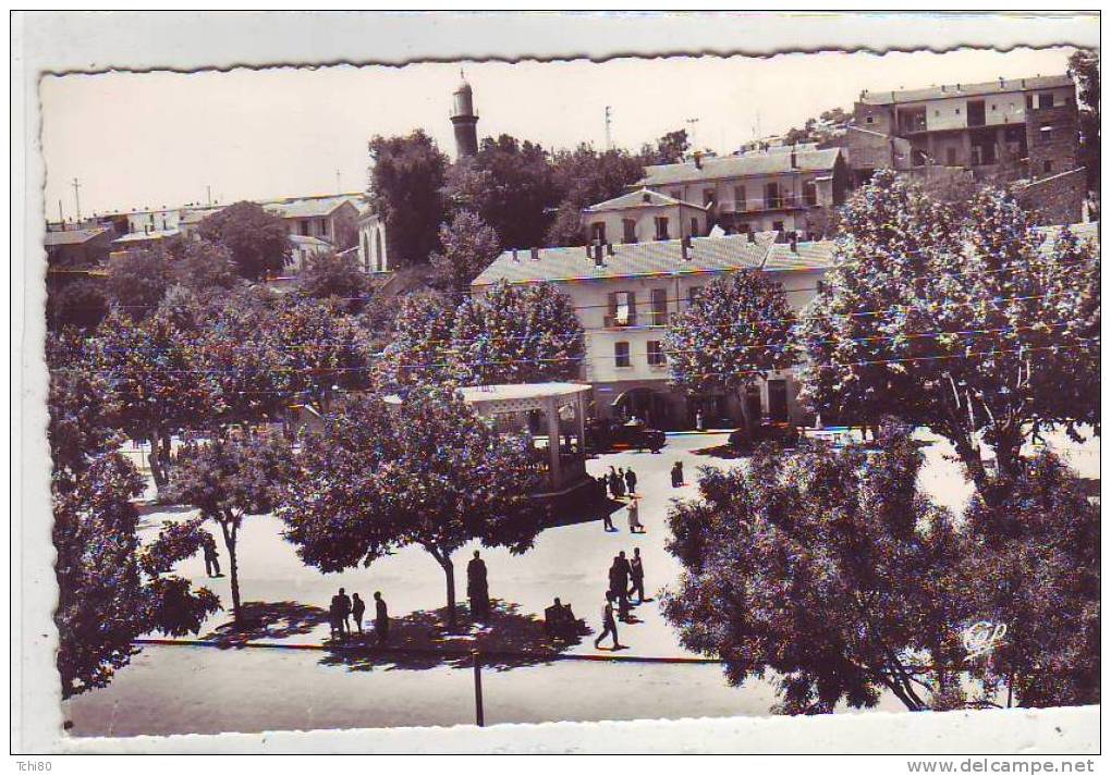 TIARET_La PLace Carnot_1506