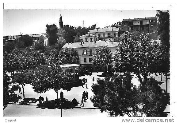 Algérie, cpsm Tiaret, Place Carnot, animée, Kiosque à Musique... éd Cap 1506