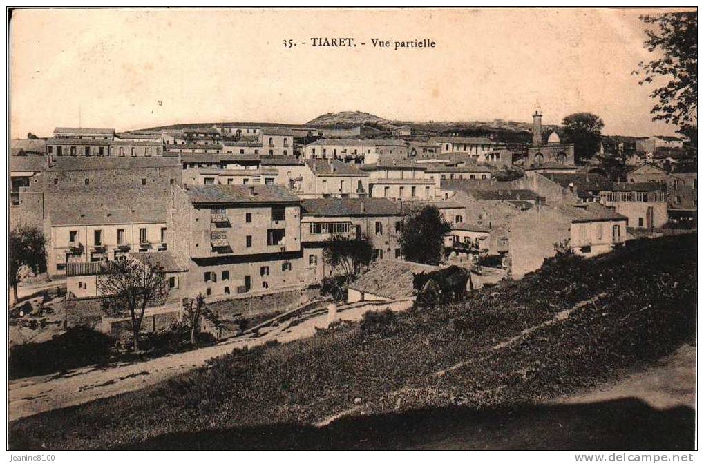 TIARET Vue Partielle