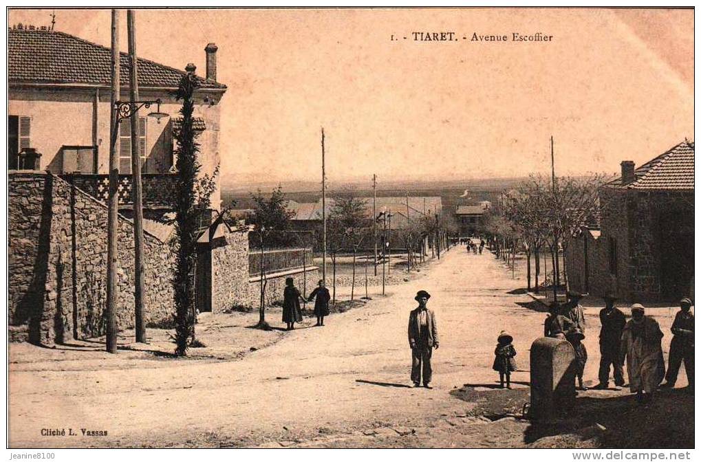 TIARET Avenue Escoffier