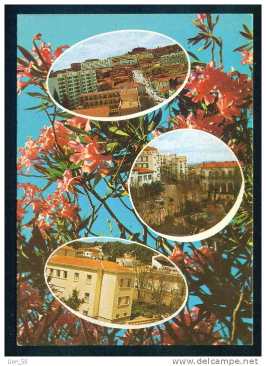 SOUVENIR DE TIARET - Algerie  Algeria Algerien 60079