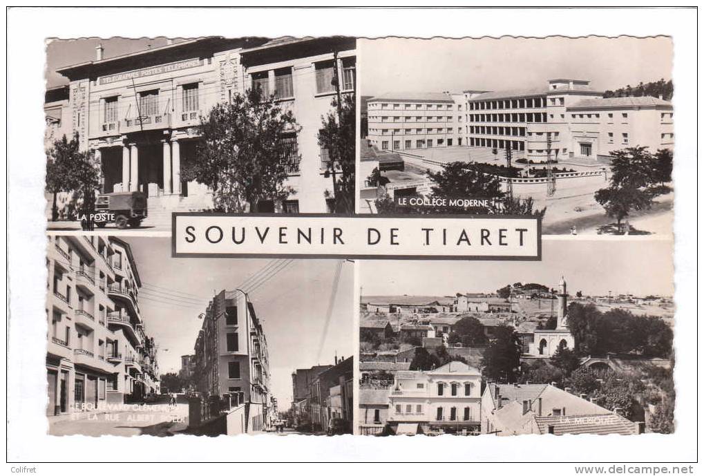Tiaret        Multivues     Souvenir de Tiaret