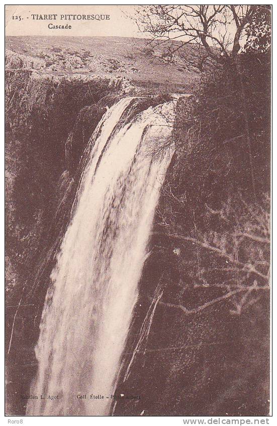 125 - TIARET PITTORESQUE - Cascade     (1 coin cassé)