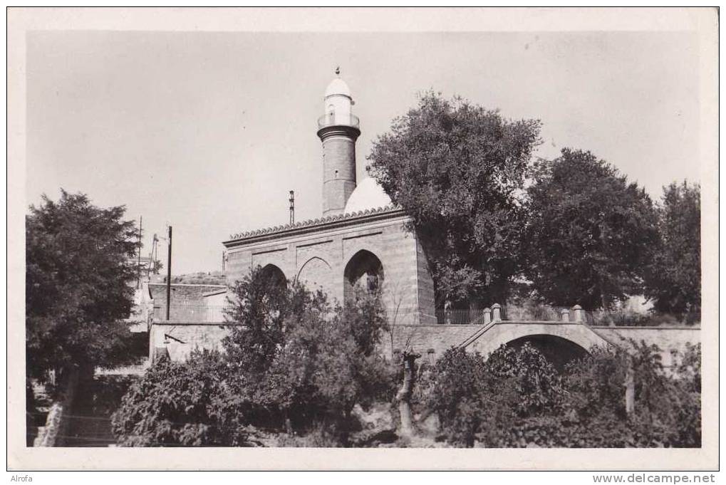 TIARET - la Mosquée