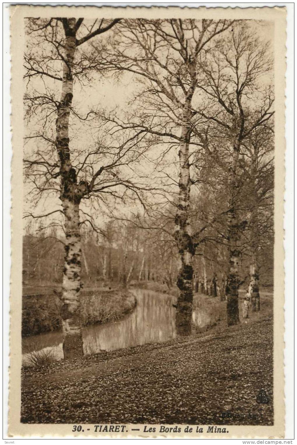 TIARET. - Les Bords de la Mina