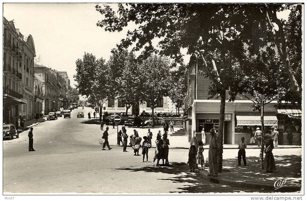TIARET - La Rue Cambon