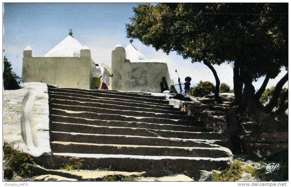 CPSM PETIT FORMAT DENTELE TIATET LE MARABOUT ANIME VOIR SCANER