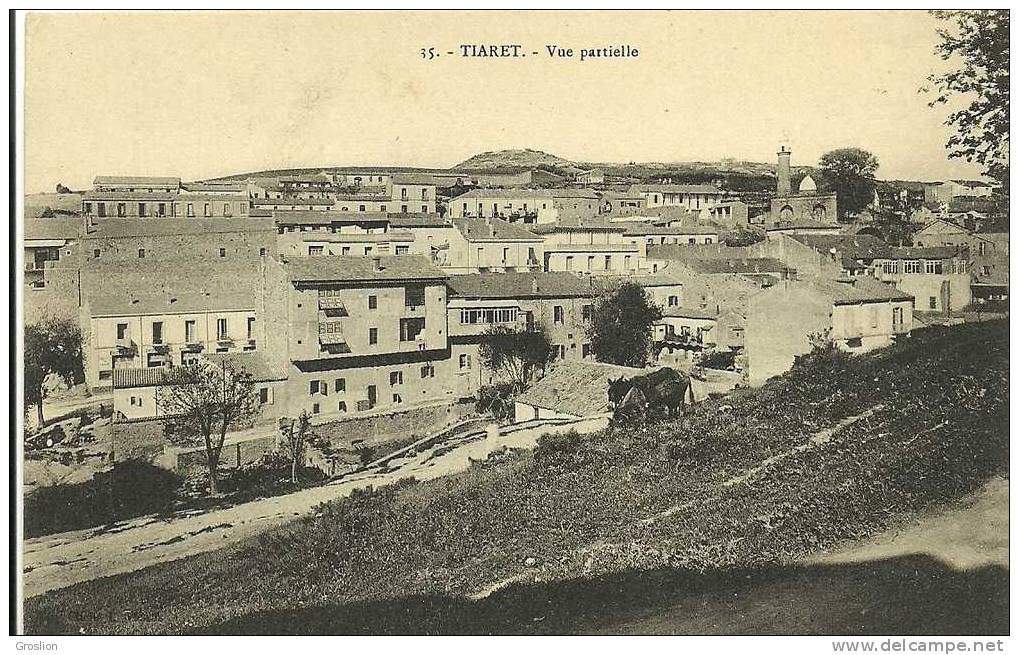 TIARET N° 35 VUE PARTIELLE