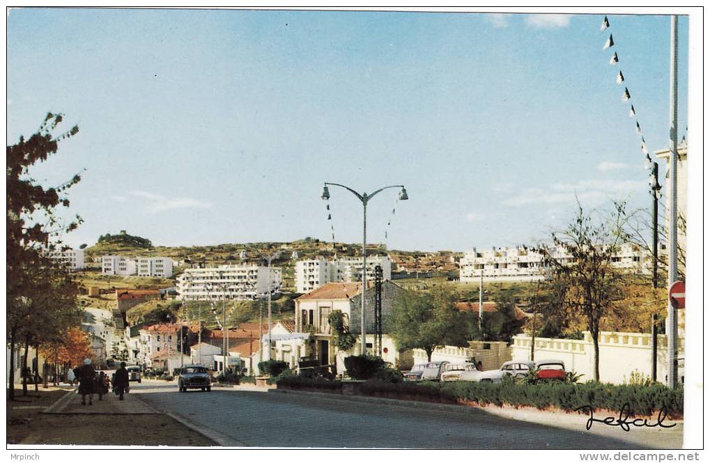 Algérie. Tiaret. Vue générale. Edt Jefal N°4064 T.B.E