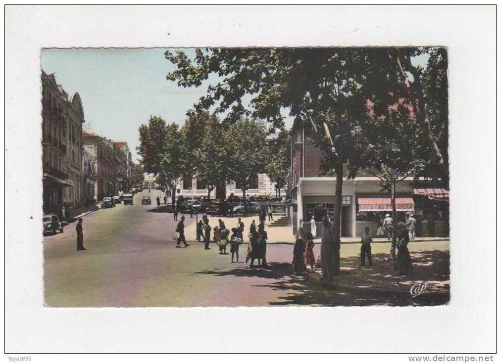 Algérie Tiaret  la rue Cambon animée personnes voitures anciennes belle carte dentelée écrite en 1963
