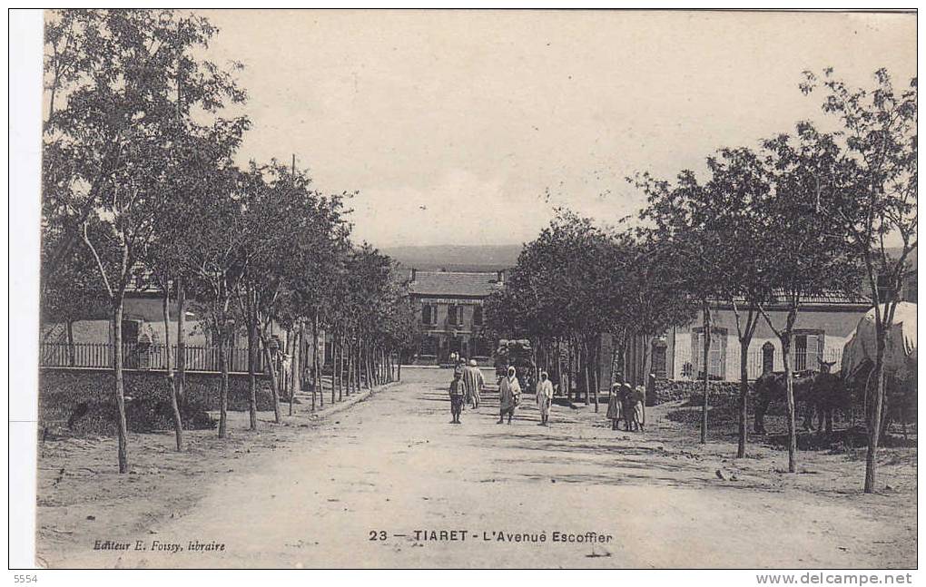 cpa  algerie  tiaret l avenue escoffier