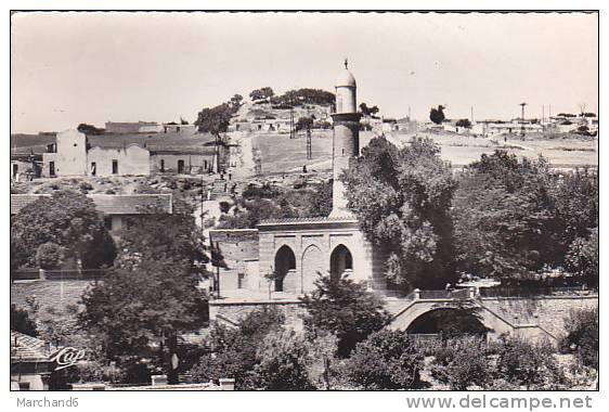 ALGERIE.TIARET.LA GRANDE MOSQUEE...SEMI MODERNE