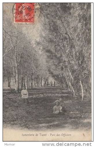 JUMENTERIE DE TIARET Parc des Officiers