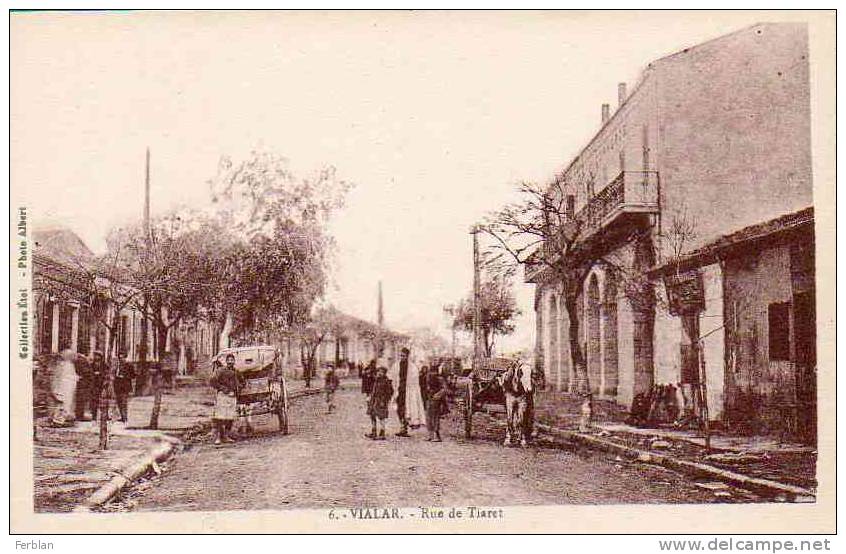 AFRIQUE. ALGERIE. VIALAR. Vue sur La Rue de Tiaret.