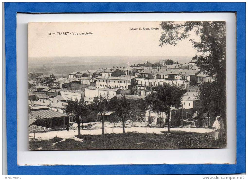 TIARET. - . VUE PARTIELLE - EDITEUR E. FOISSY LIBRAIRE. N° 12