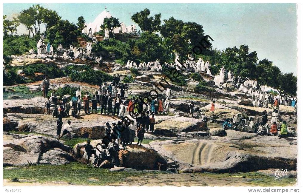 tiaret le marabout un jour de fête