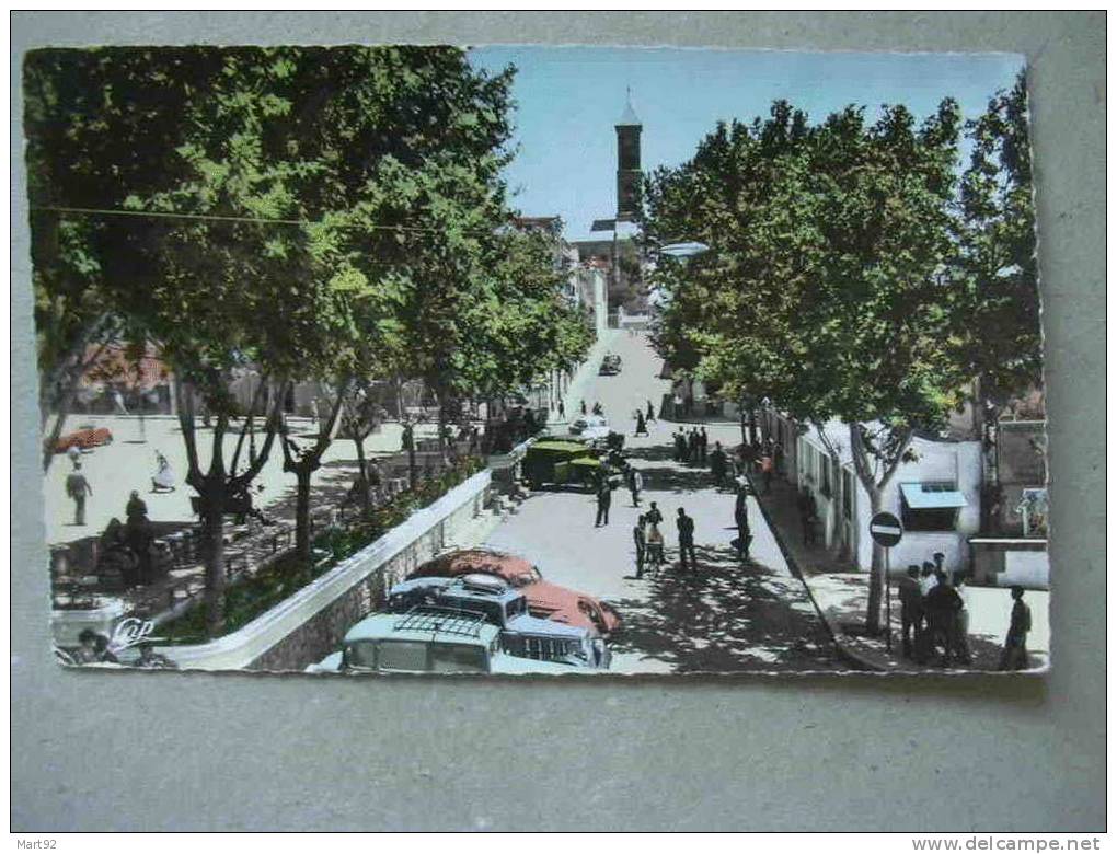TIARET PLACE LOUBET