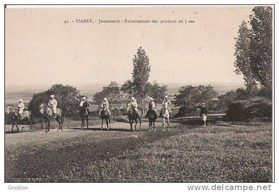 TIARET 45 JUMENTERIE ENTRAINEMENT DES PRODUITS DE 3 ANS (BELLE ANIMATION)