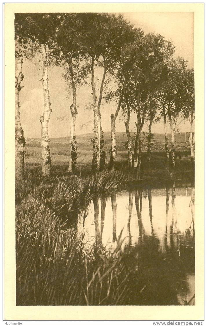 Environs de Tiaret  rivière de la Mina     (7799)