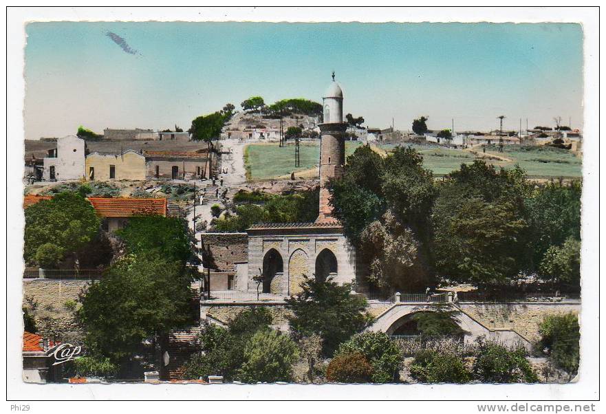 tiaret la grande mosqué