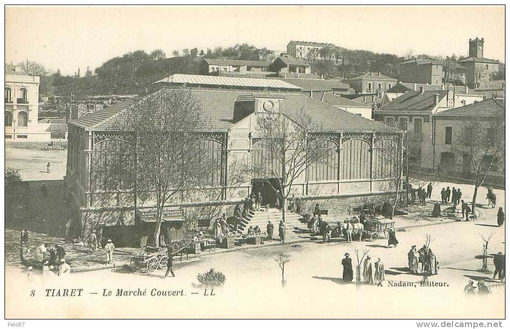 TOP CPA   Tiaret Le Marché couvert  (très animée)   B409