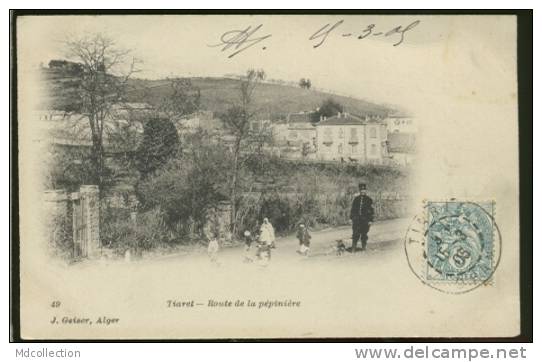 ALGERIE TIARET /  Route de la pépinière    /