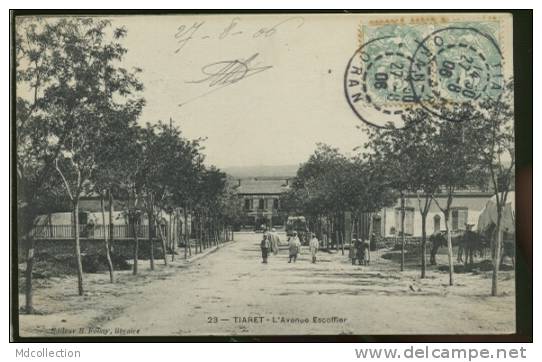 ALGERIE TIARET /  L'avenue Escoffier    /