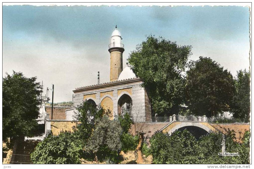 Algérie - tiaret - la mosquée