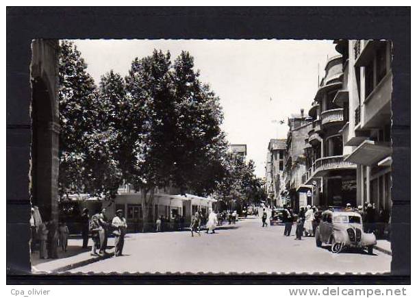 ALGERIE Tiaret Rue Albert Soler, bien animée, Peugeot 402, ed CAP 1510, CPSM 9x14, 1959