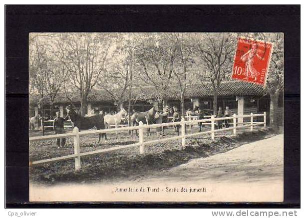 ALGERIE Tiaret Jumenterie, Sortie des Juments, bien animée, Haras, ed ?, 1909