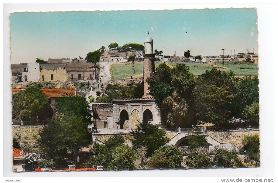 Algérie /  TIARET  --  La Grande Mosquée