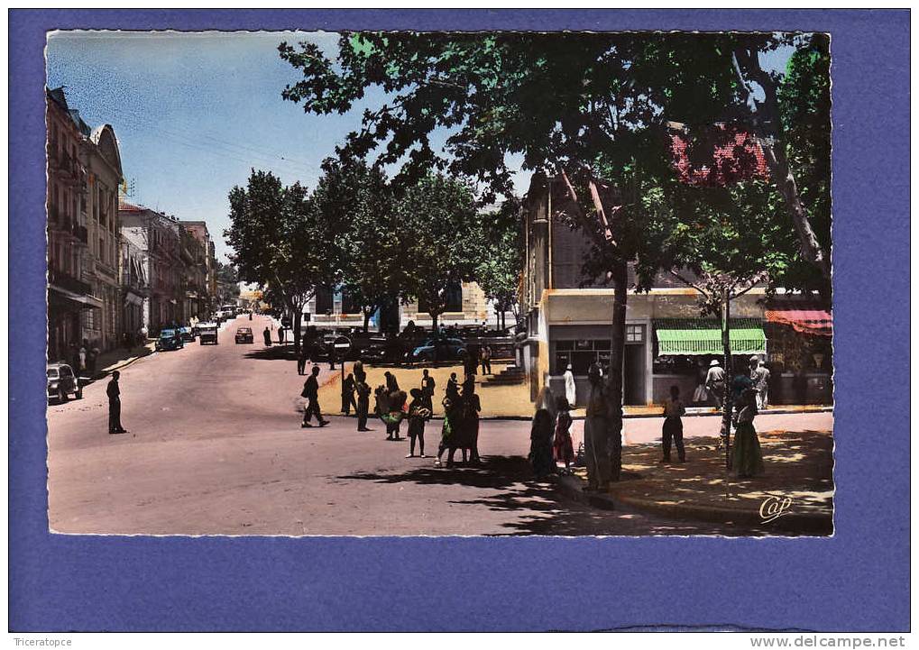 o 225)  TIARET  rue cambon animée  CPSM  (TTB état)