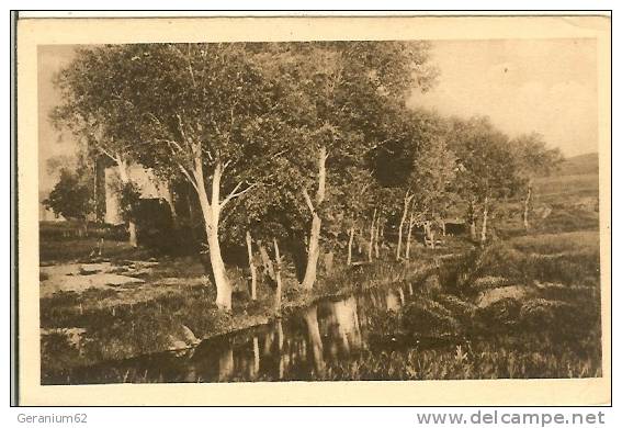 CPA Algerie TIARET (environs) moulin