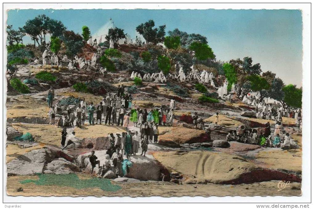 Algérie /  TIARET  --  Le Marabout un jour de fête