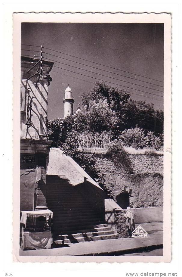 TIARET - La Mosquée (1954)