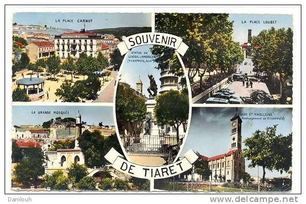ALGERIE / FL / Souvenir de TIARET, Multivues, CPSM couleur 9 x 14; N°1518 C.A.P.