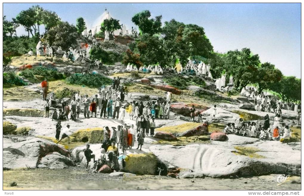 1516 - TIARET - Le Marabout un jour de Fête