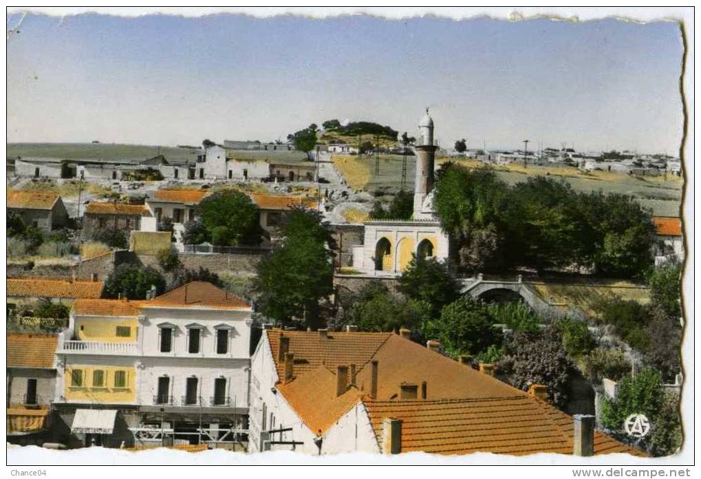 CPA DE TIARET  LA MOSQUEE