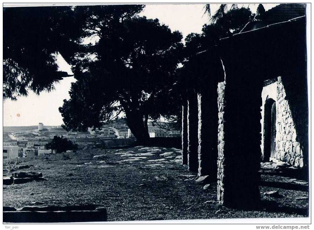 TIARET - CARTE-PHOTO - lire le 2éme scan