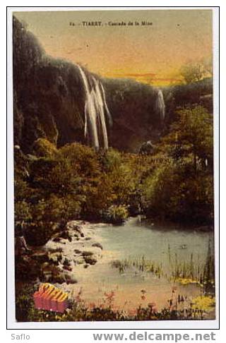 CPA Algérie = Tiaret - Cascade de la Mina - Carte neuve ***