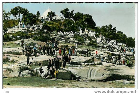 TIARET Le Marabout de Sidi Khaled