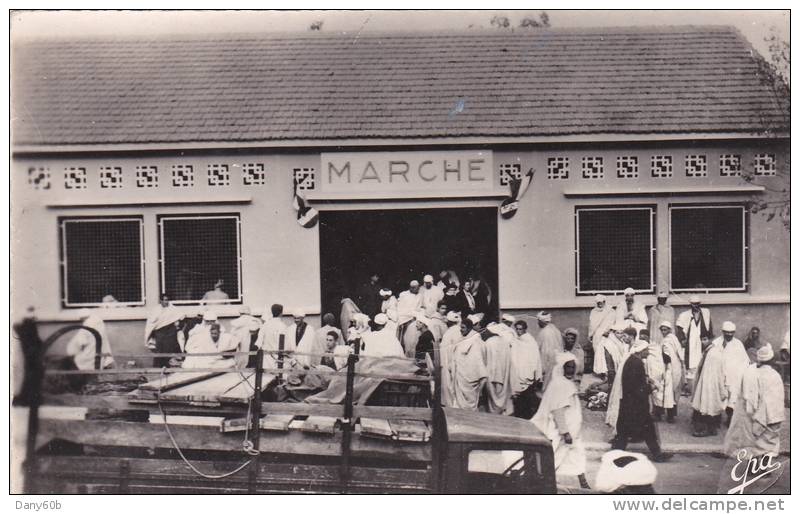 ALGERIE - TIZI RENIF - LE MARCHE  - CPSM.PF