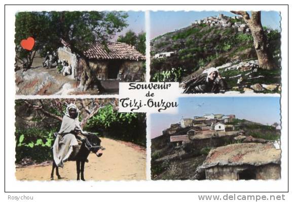 ALGERIE-19315-Souvenir de Tizi-Ouzou-Vues multiples diverses
